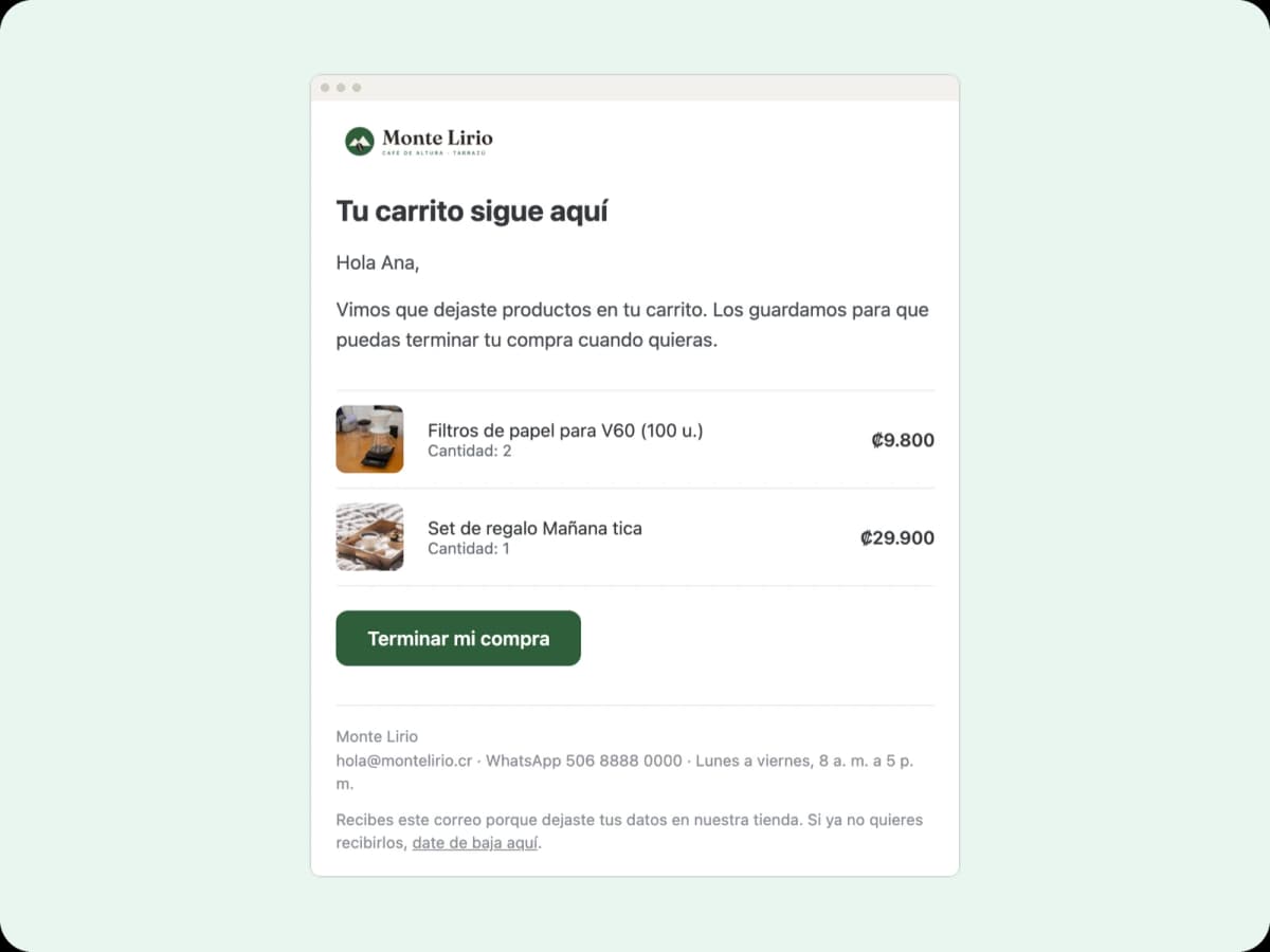 Correo que recuerda al cliente su carrito con los productos y un botón